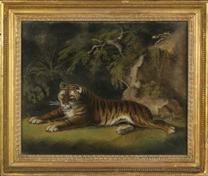 Tiger in a Jungle Landscape